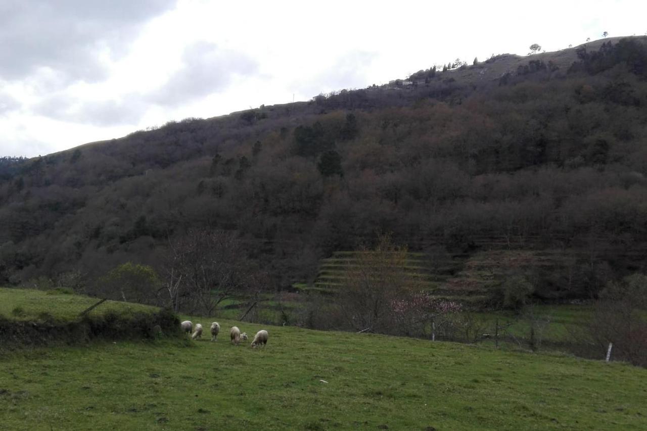 Casa de Férias Quinta Da Imaculada Arcos de Valdevez